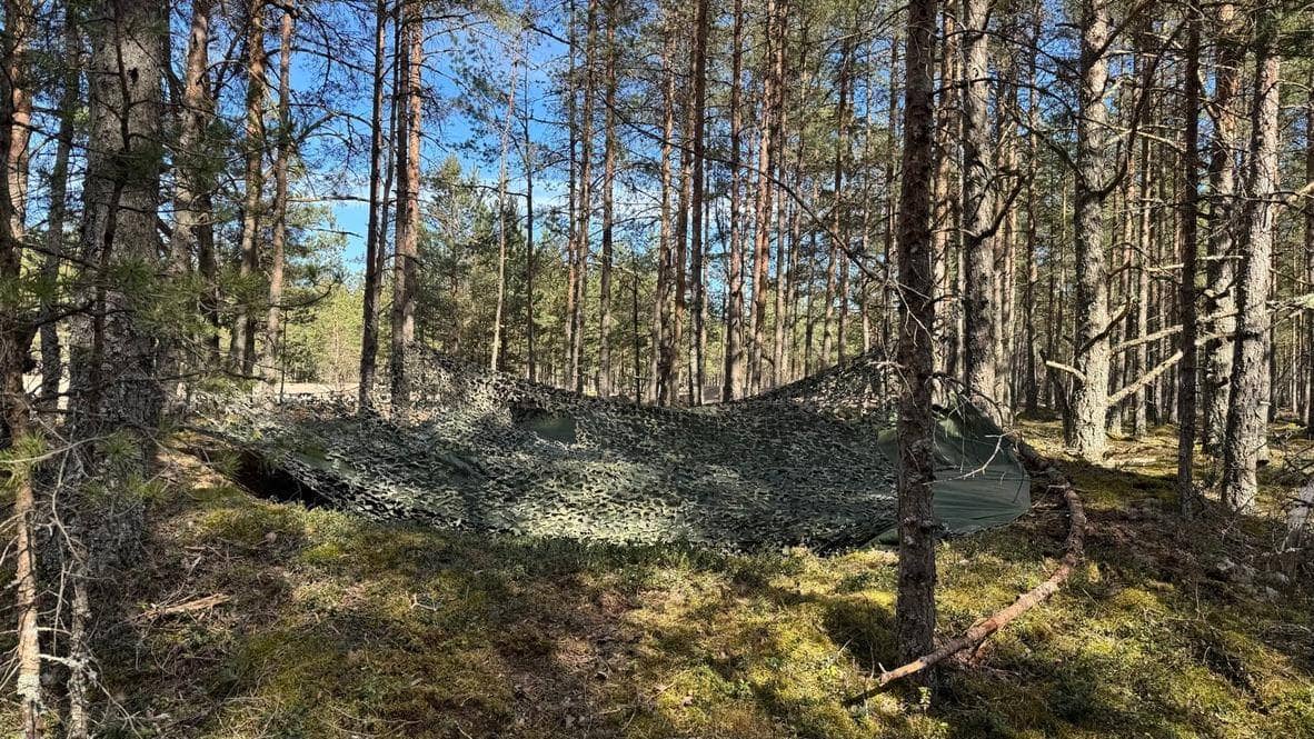 Maskeerimisvõrguga varjatud positsioon metsas